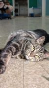 Beebz photo 2