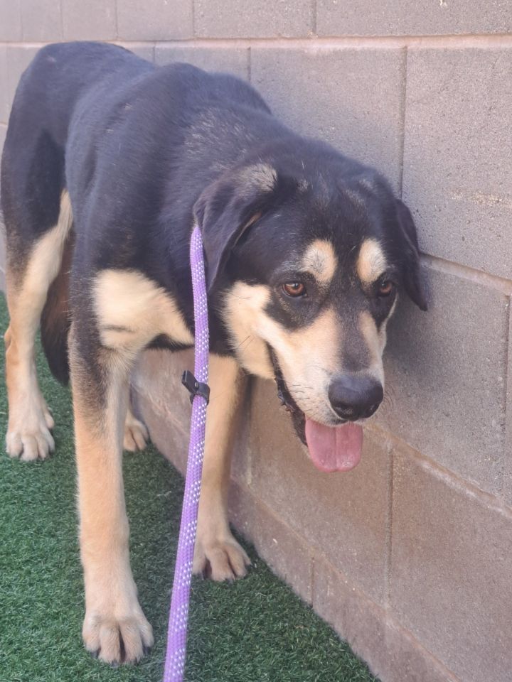 Teddy (URGENT!) 2