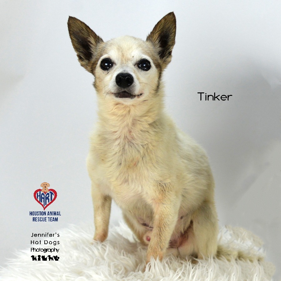 Tinker