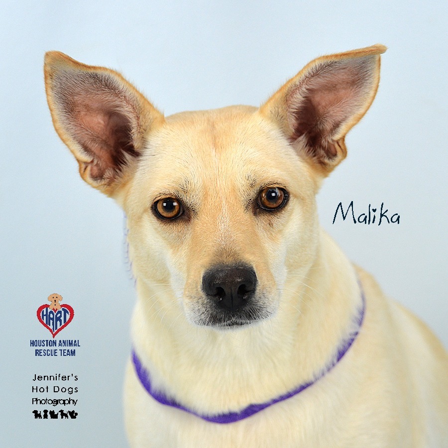 Malika