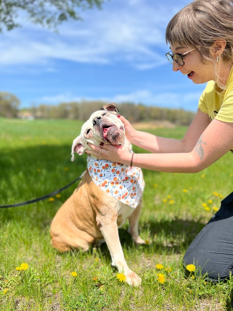 Mya, an adoptable Mixed Breed in Menomonie, WI, 54751 | Photo Image 3