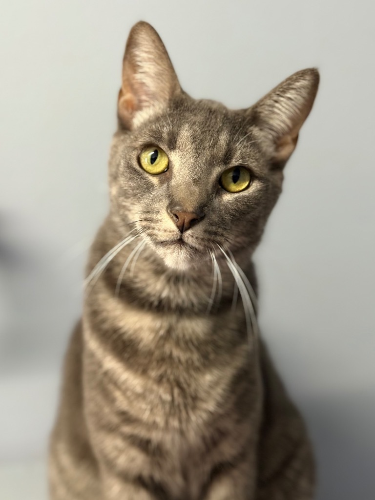 Tom