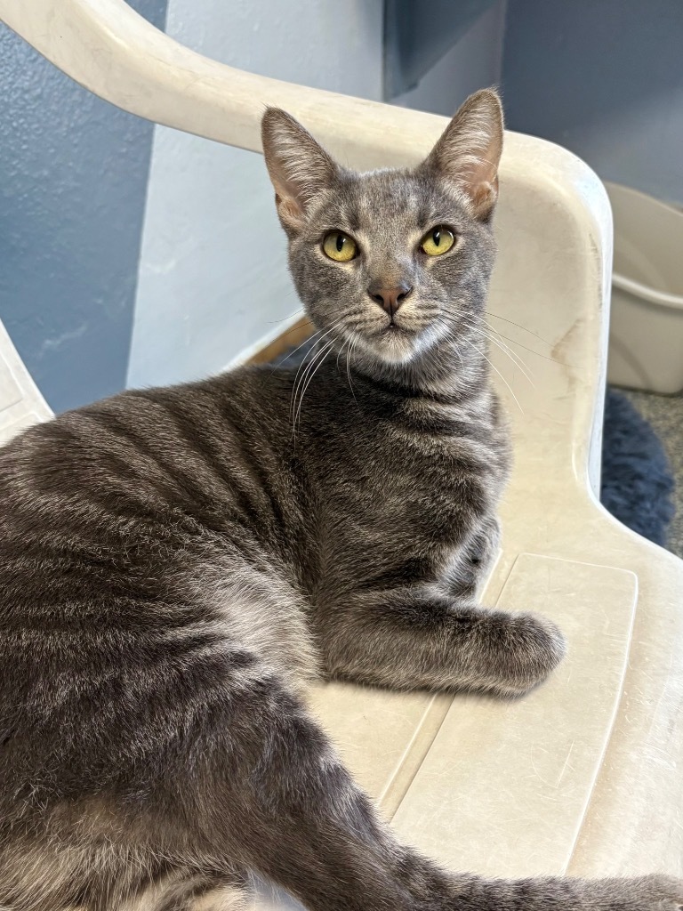 Tom