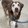 Clyde photo 5