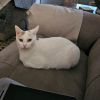 Abigail (mom) photo 1