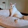 Abigail (mom) photo 2