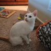 Abigail (mom) photo 4