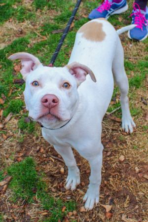 Brady- IN FOSTER