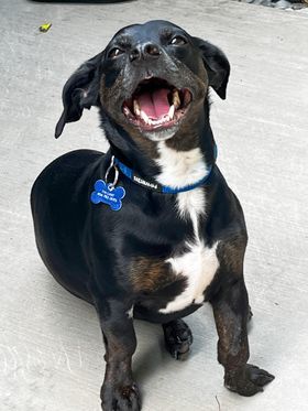 Carlin- IN FOSTER