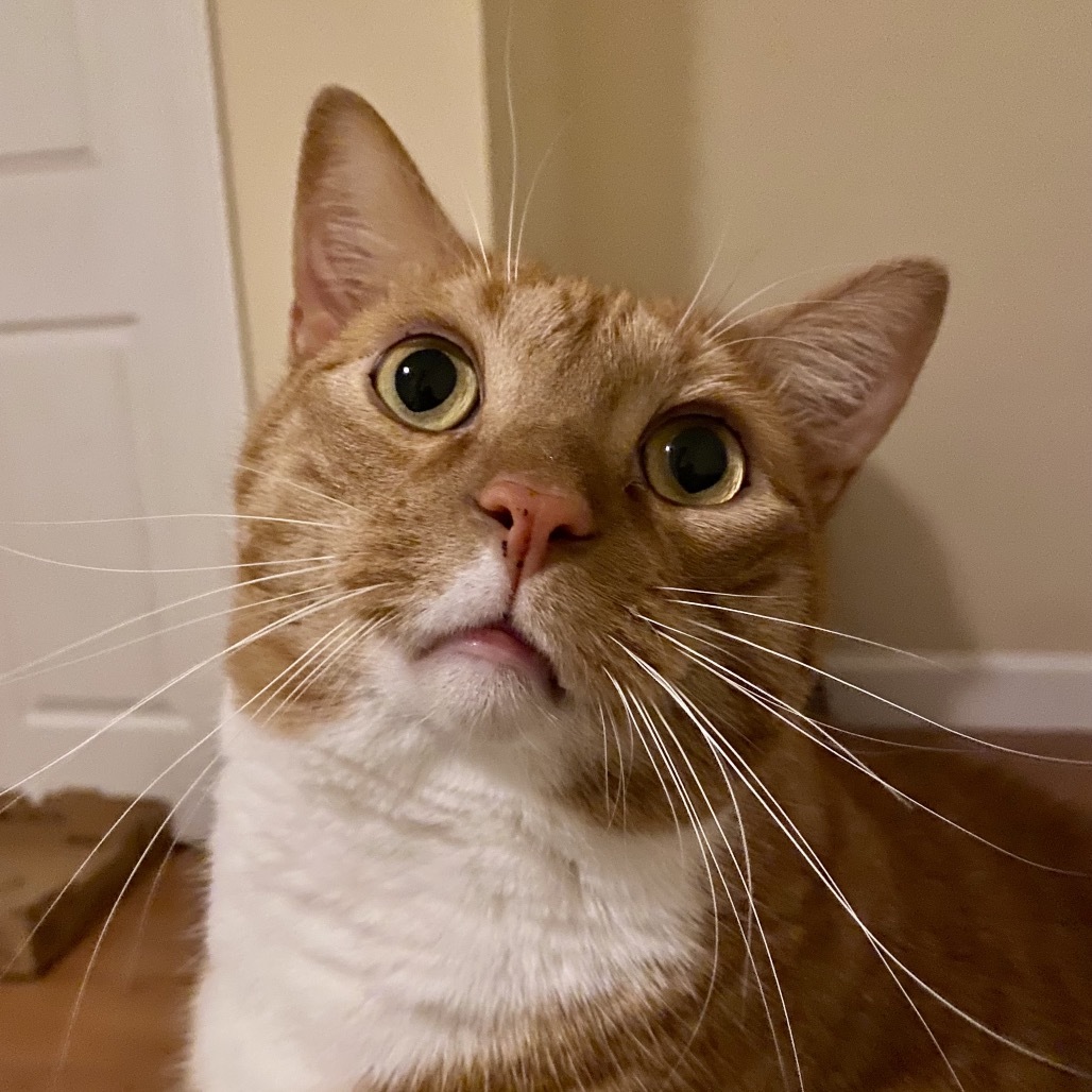 Tormund