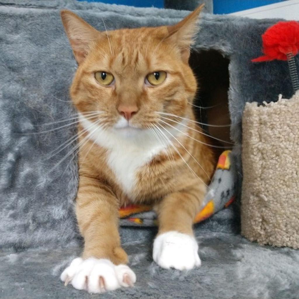 Tormund