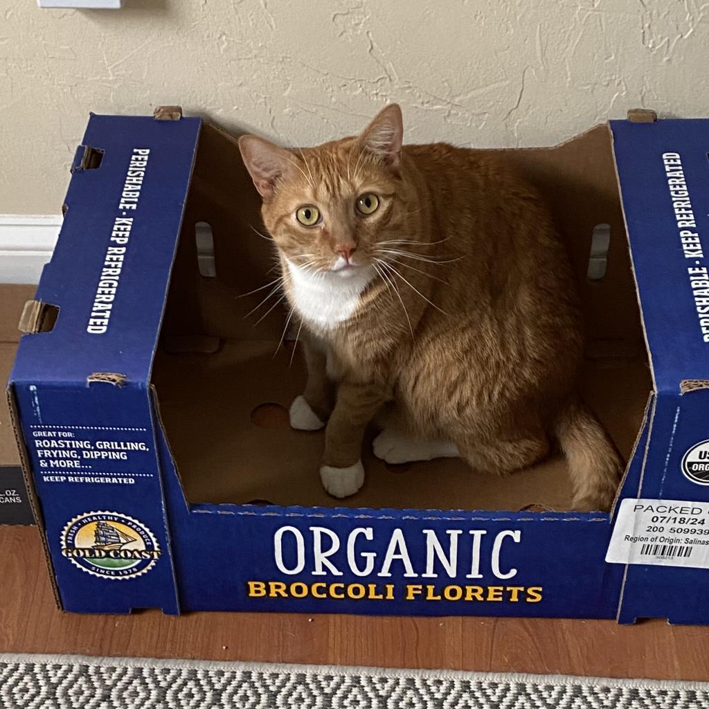 Tormund