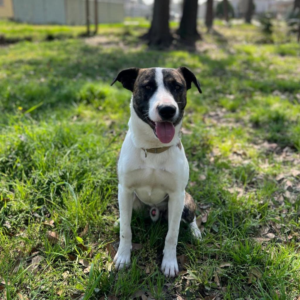 Emilio aka Miles