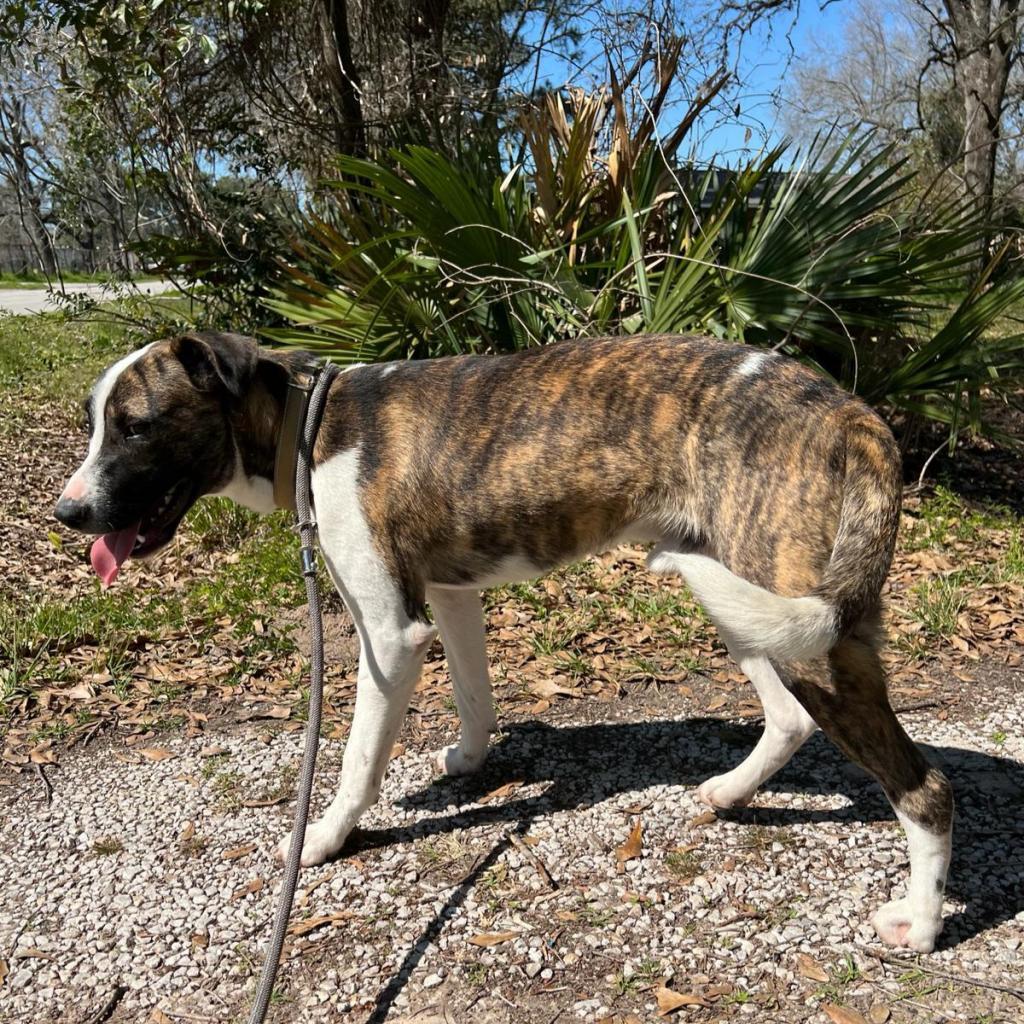Emilio aka Miles