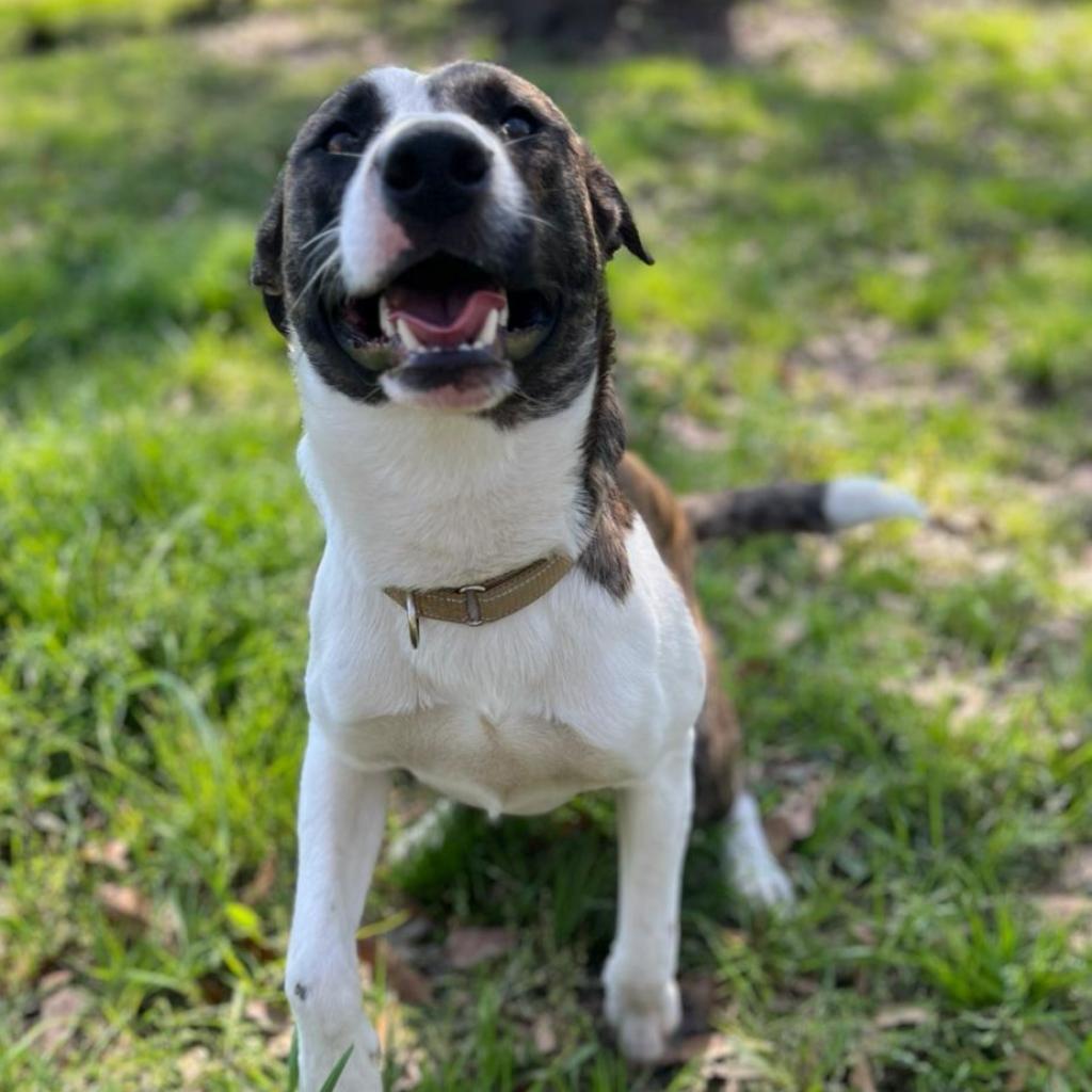 Emilio aka Miles