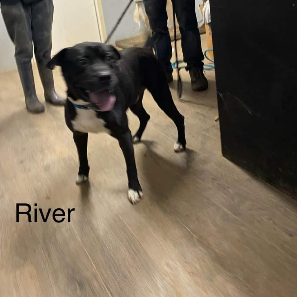 River