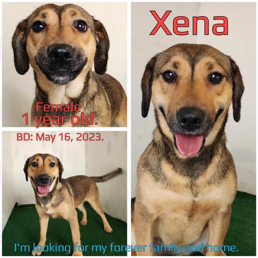 Xena