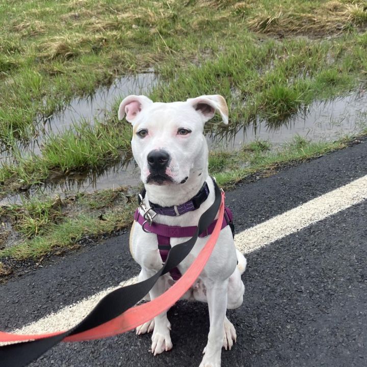 Tilly 5