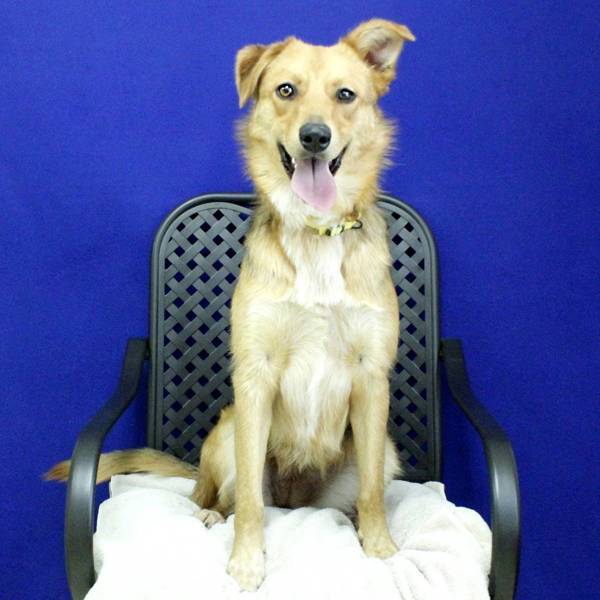 Lola 4
