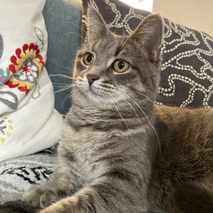 Skye 4