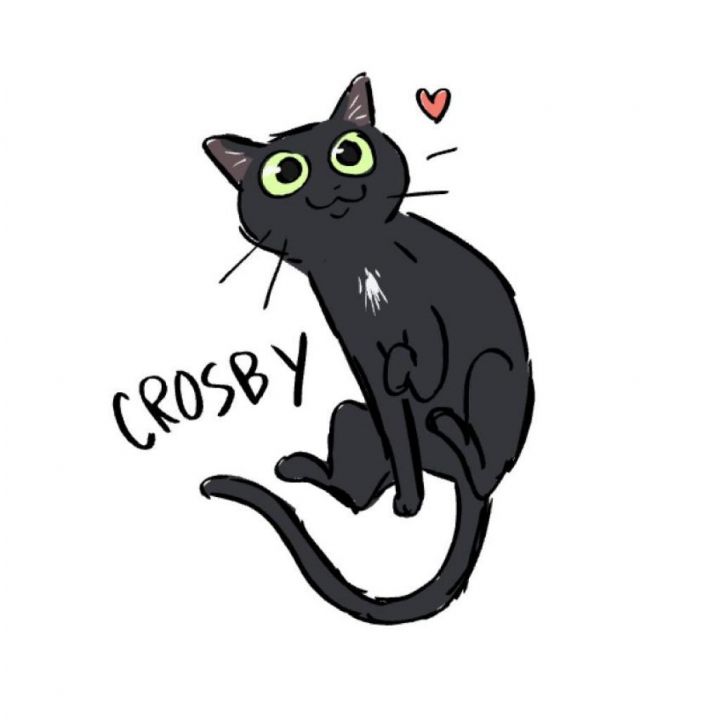 Crosby 5