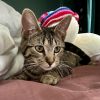 Miss Moppet photo 4