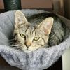 Miss Moppet photo 6