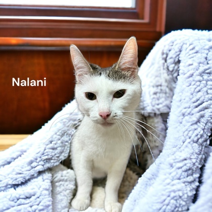 Nalani