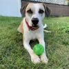 Marvin photo 1