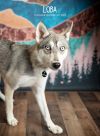 Loba photo 1