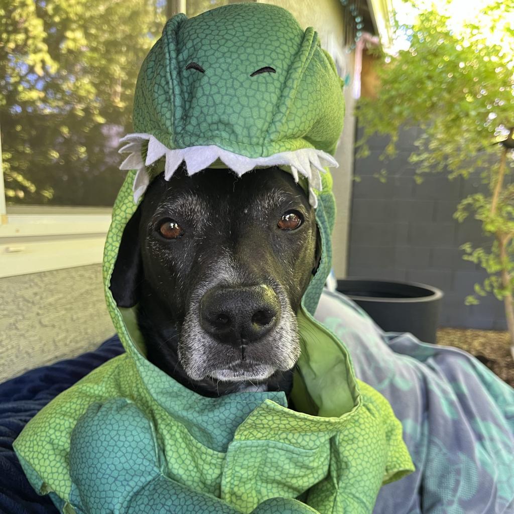 Ridley