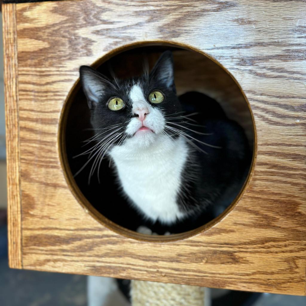 Gwen