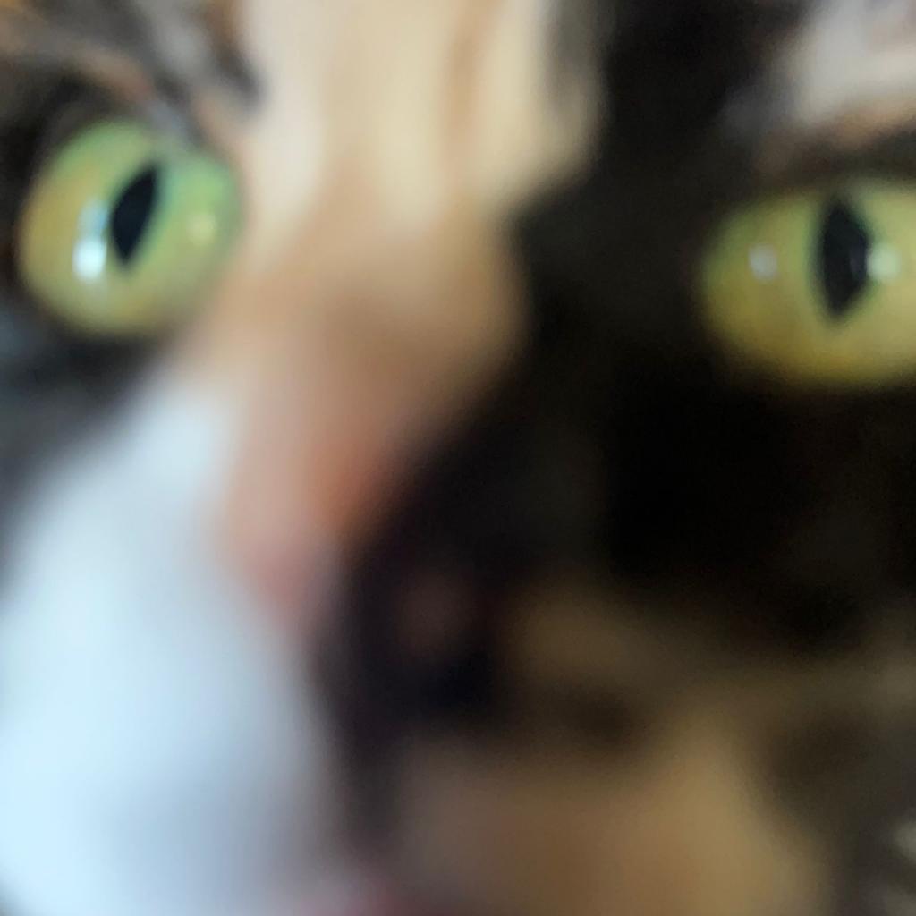 Penny