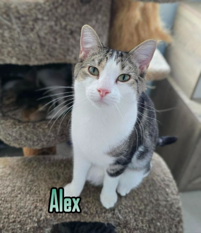 Alex