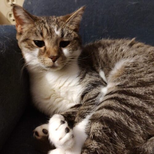 Cuddles 5
