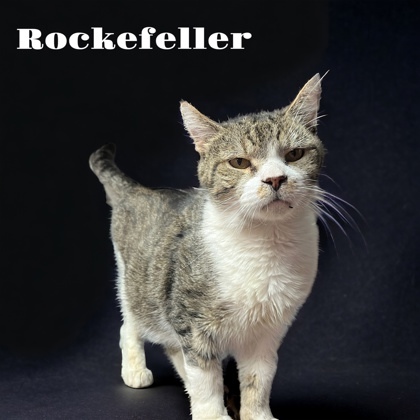 Rockefeller 1