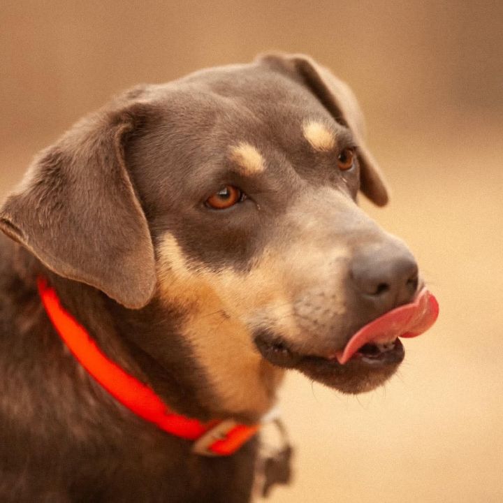 Cinder 3