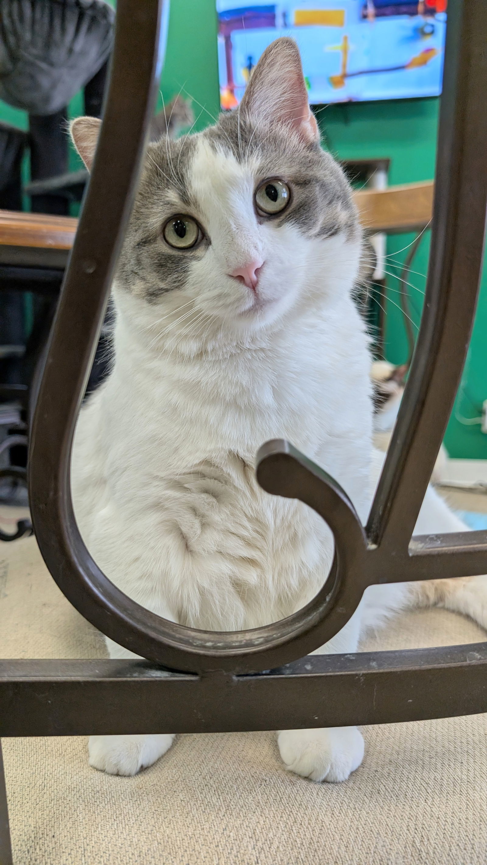 Oscar