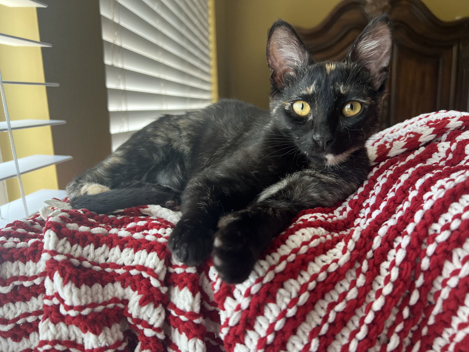 Suzette