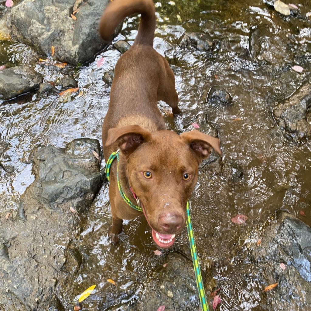Moose aka Alex