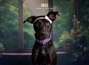 Nikki, Young Female unknown