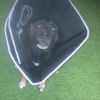 Ceelo photo 2