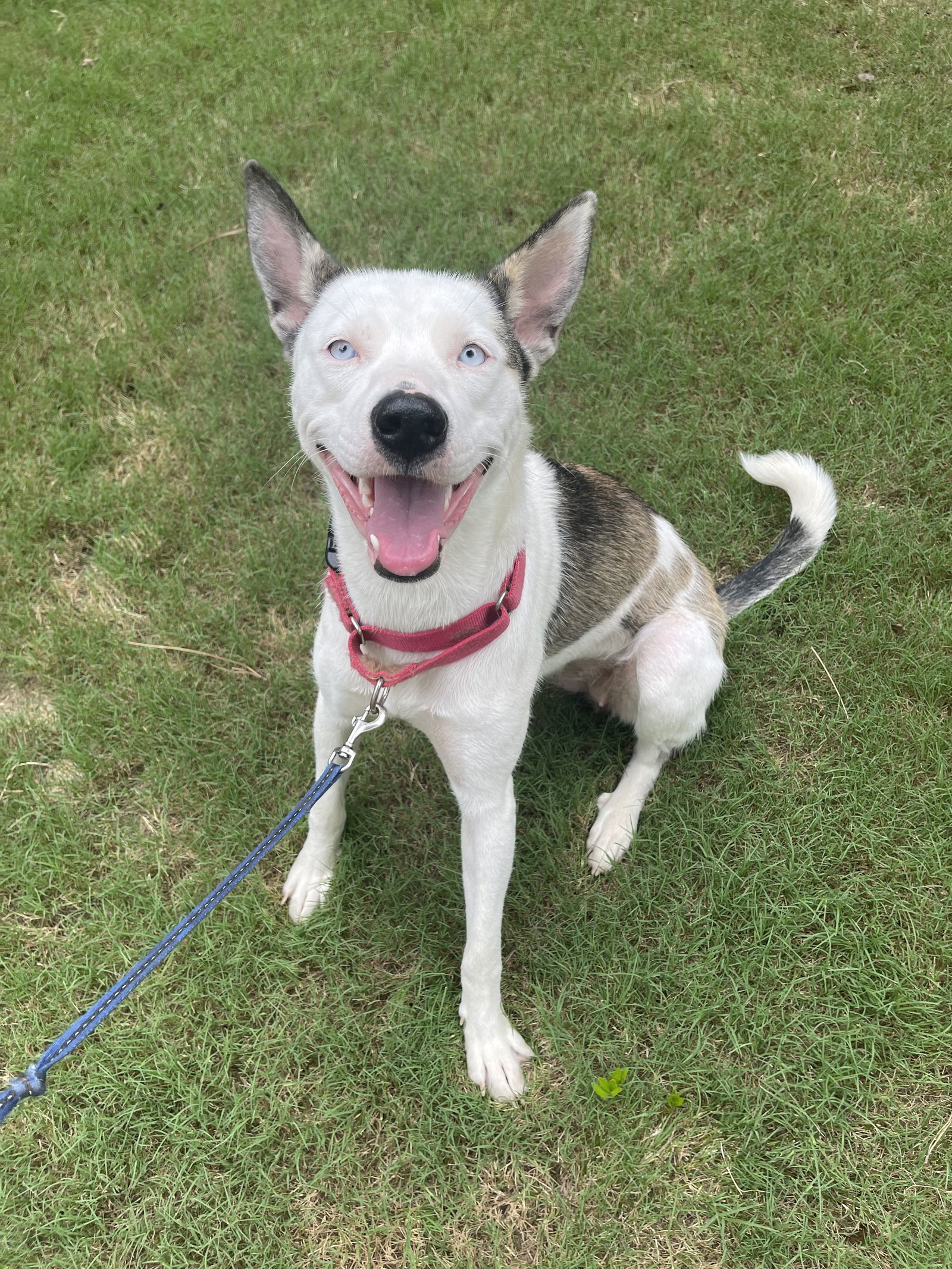 Kacy - FRIENDLIEST GIRL EVER!