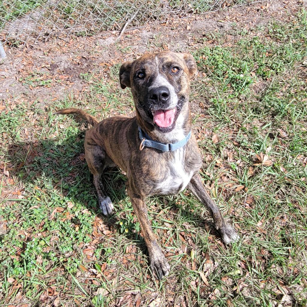 Nala Photo