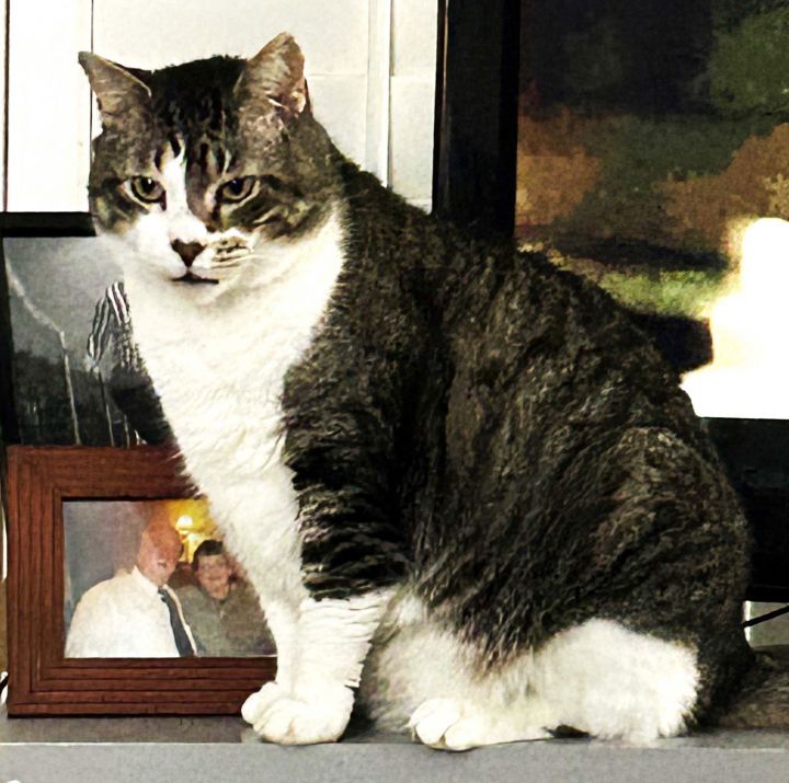 MR. TOM TOM 1