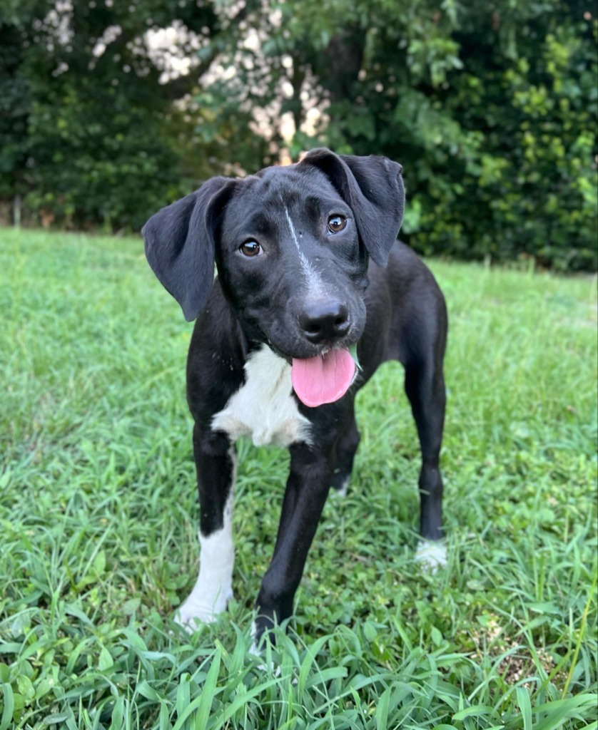 Nora
