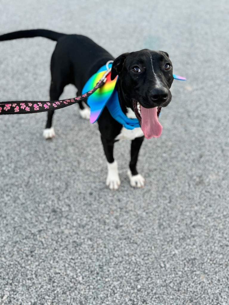 Nora