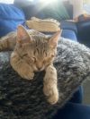 Sadie photo 3