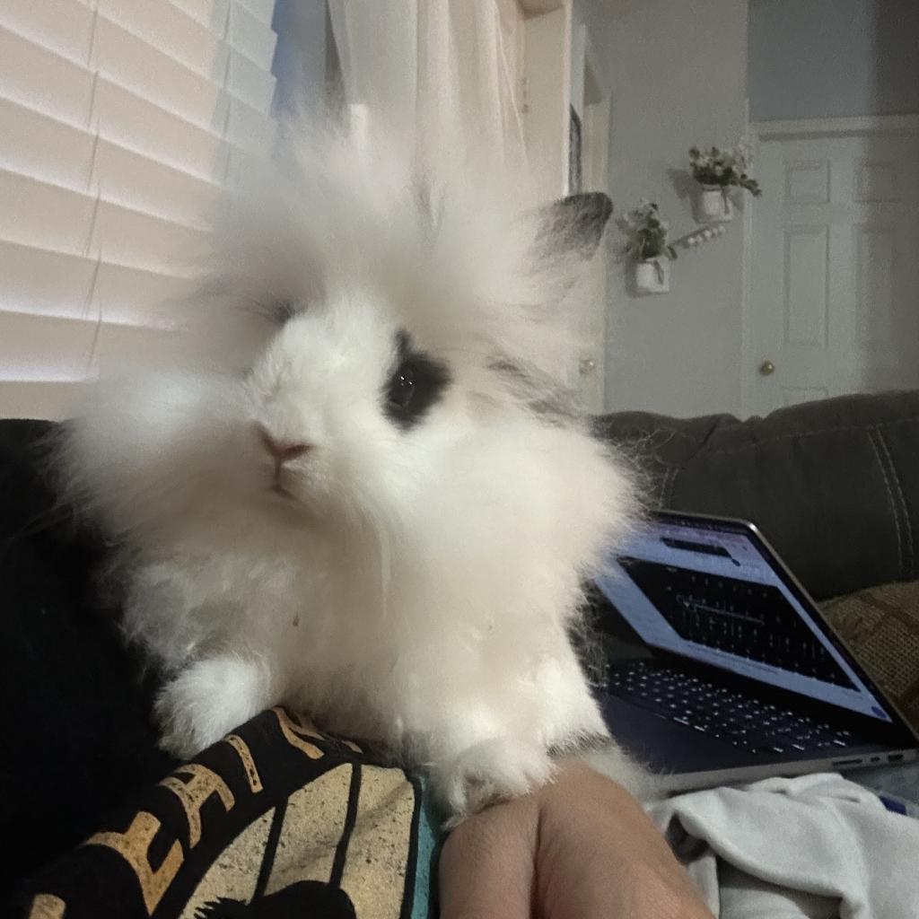 Marilyn Bun-roe