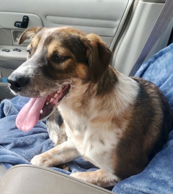 Bear Bear thumbnail 2